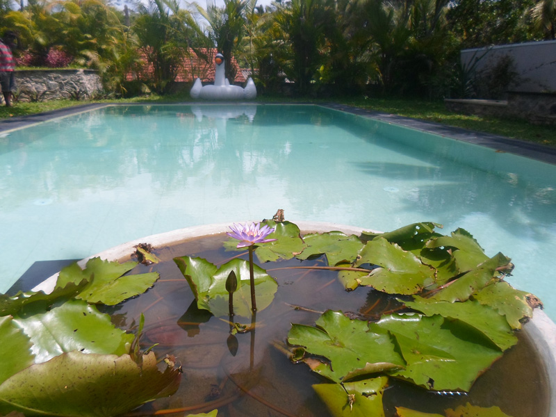 swimming pool construction company in sri lanka