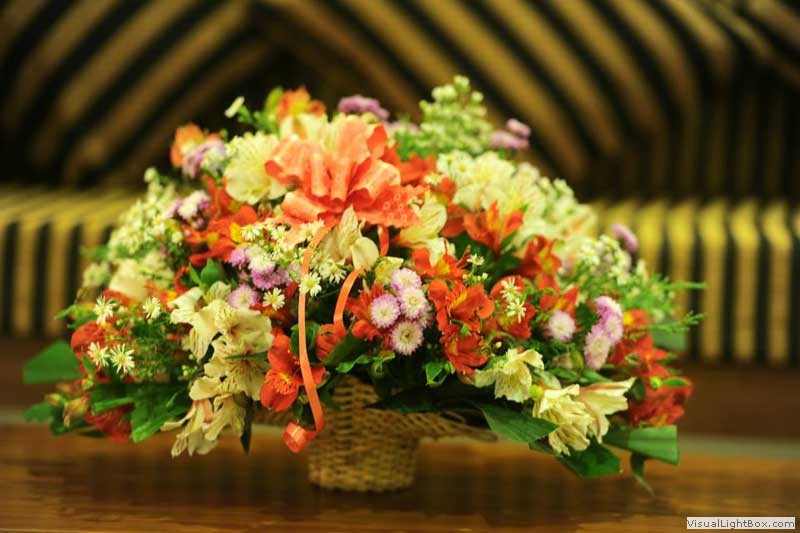 villa aura galle in sri lanka