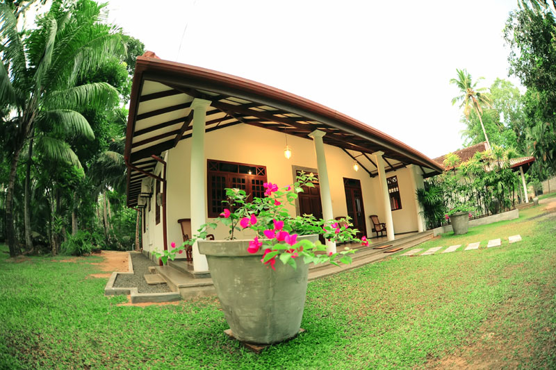 coco house residence by sithagi design constrcution sri lanka