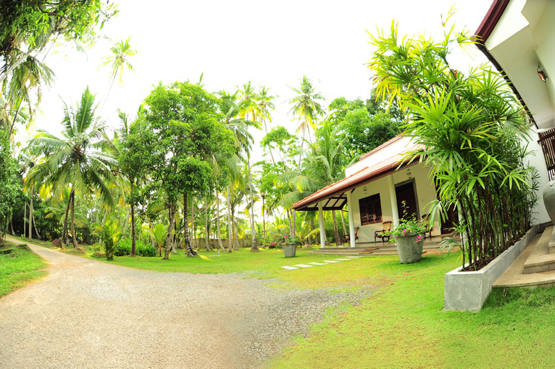 coco house residence by sithagi design constrcution sri lanka